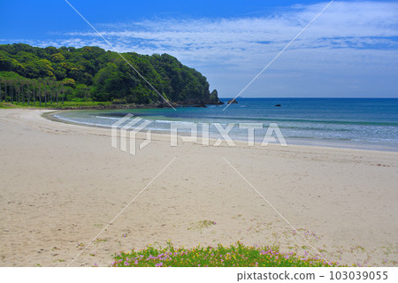 伊豆半島,南伊豆,美麗的弓濱東端的岩石地帶,伊豆般的海岸風光,靜岡縣南伊豆町 (3) 伊豆半島,南伊豆,美麗的弓濱東端的岩石地帶,伊豆般的海岸風光,靜岡縣南伊豆町 (3) 103039055
