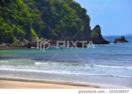 Enjoy paddle boarding (SUP) on the rocks of Izu Peninsula, Minamiizu, and Yumigahama Minamiizu Town, Shizuoka Prefecture 103039057