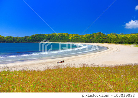 Izu Peninsula/Minamiizu/Enjoy the beautiful scenery and sound of the waves at Yumigahama Resort-like Minamiizu Town, Shizuoka Prefecture(1) Izu Peninsula/Minamiizu/Enjoy the beautiful scenery and sound of the waves at Yumigahama Resort-like Minamiizu Town, Shizuoka Prefecture(1) 103039058