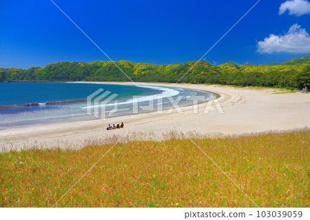 Izu Peninsula/Minamiizu/Enjoy the beautiful scenery and sound of the waves at Yumigahama Resort-like Minamiizu Town, Shizuoka Prefecture (2) Izu Peninsula/Minamiizu/Enjoy the beautiful scenery and sound of the waves at Yumigahama Resort-like Minamiizu Town, Shizuoka Prefecture (2) 103039059