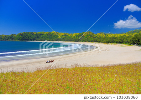 Izu Peninsula/Minamiizu/Enjoy the beautiful scenery and sound of waves at Yumigahama Resort-like Minamiizu Town, Shizuoka Prefecture (3) 103039060