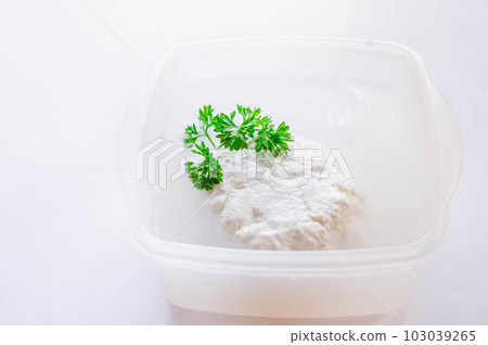 Mozzarella cheese in a storage container 103039265