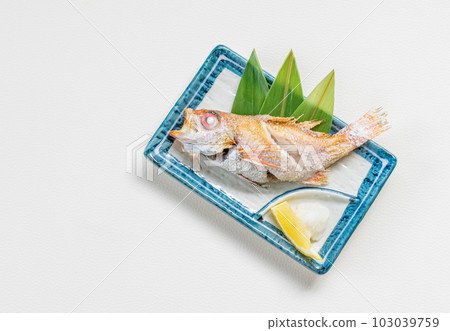 鹽烤的石斑魚 103039759