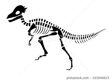 Pachycephalosaurus skeleton . Silhouette dinosaurs . Side view . Vector . Pachycephalosaurus skeleton . Silhouette dinosaurs . Side view . Vector . 103040625