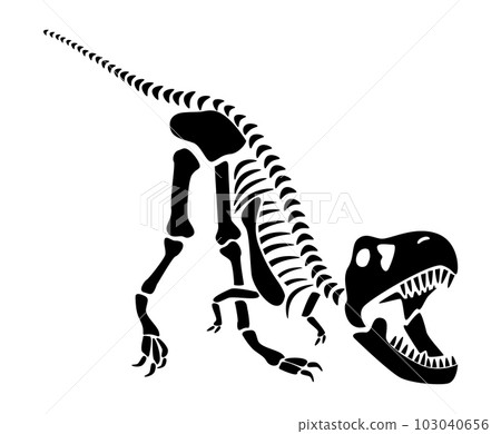 Tyrannosaurus Rex skeleton . Silhouette dinosaurs . Side view . Vector . Tyrannosaurus Rex skeleton . Silhouette dinosaurs . Side view . Vector . 103040656