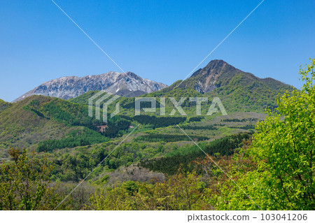 五月小山No.1 103041206