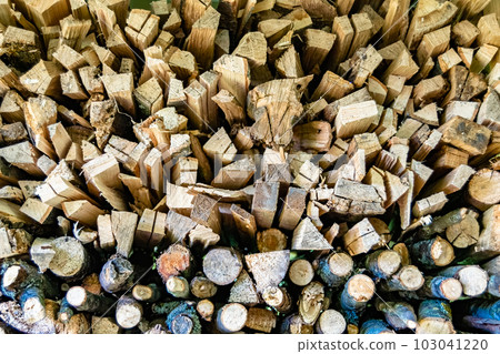 Photography on theme big wall of stacked oak tree logs in cracks 103041220