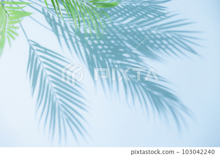 夏天圖像背景 103042240