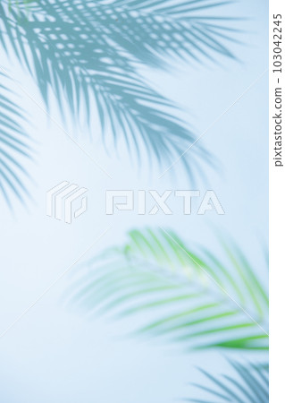 夏天圖像背景 夏天圖像背景 103042245