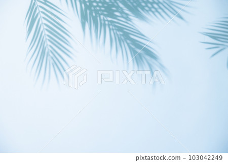 Summer image background 103042249