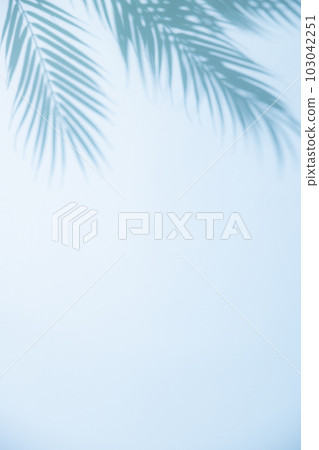 Summer image background 103042251