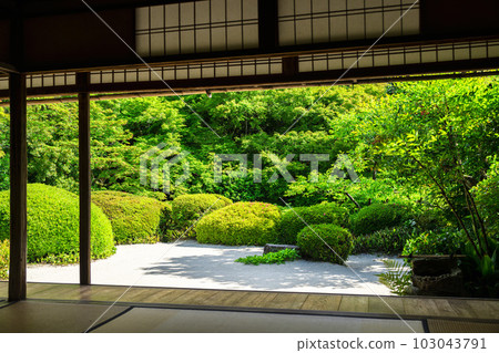 Shisen-do in early summer, Jozan-ji Temple landscape, fresh green garden, Kyoto City, Kyoto Prefecture 103043791