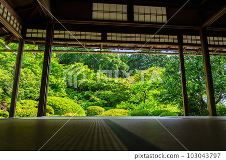 Shisen-do in early summer, Jozan-ji Temple landscape, fresh green garden, Kyoto City, Kyoto Prefecture 103043797