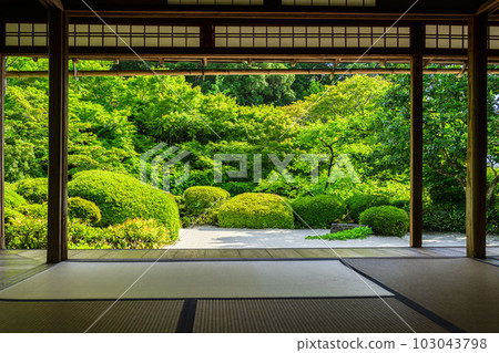 初夏的石森堂，定山寺景觀，清新的綠色花園，京都府京都市 103043798