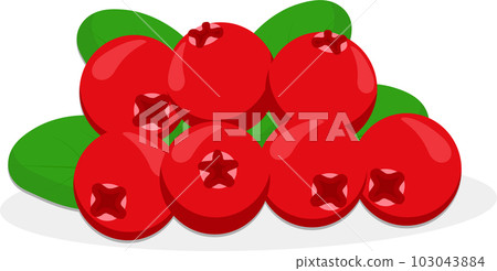 Sweet juicy tasty natural eco product cranberry 103043884