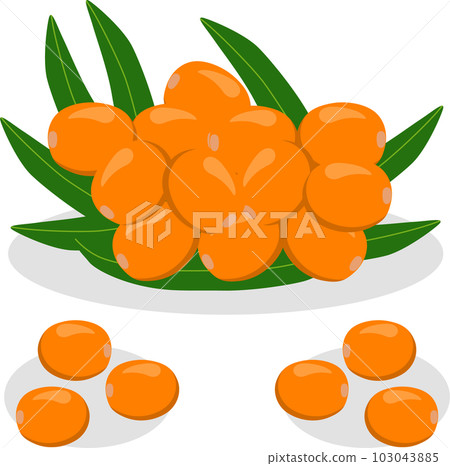 Sweet juicy tasty natural eco product sea buckthorn 103043885