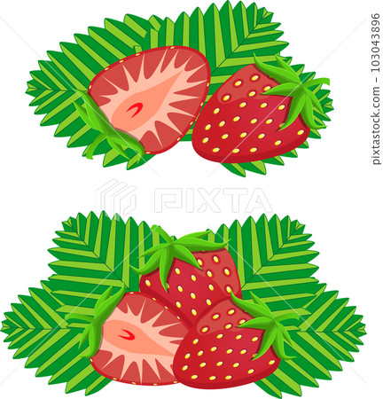 Sweet juicy tasty natural eco product strawberry Sweet juicy tasty natural eco product strawberry 103043896