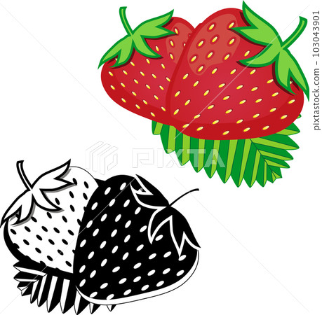 Sweet juicy tasty natural eco product strawberry 103043901