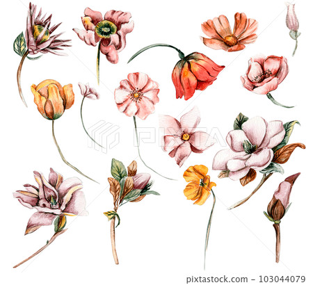 Watercolor set of fall flowers, leaves and... - Stock Illustration ...