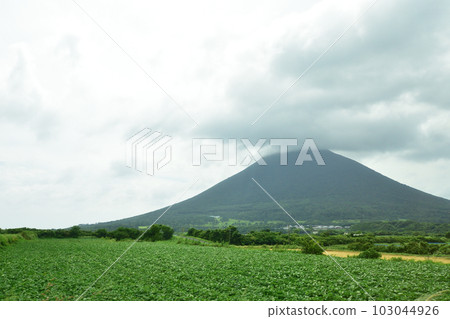 鹿兒島縣指宿市長崎鼻及周邊風景 鹿兒島縣指宿市長崎鼻及周邊風景 103044926