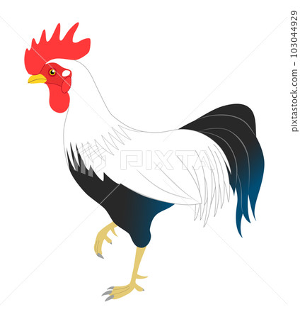 Chicken - Stock Illustration [103044929] - PIXTA