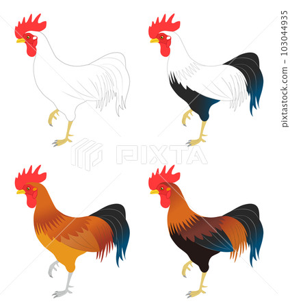 Chicken set Chicken set 103044935