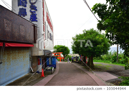 鹿兒島縣指宿市長崎鼻及周邊風景 103044944