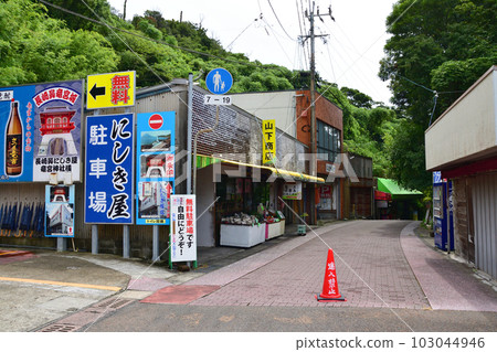 鹿兒島縣指宿市長崎鼻及周邊風景 103044946