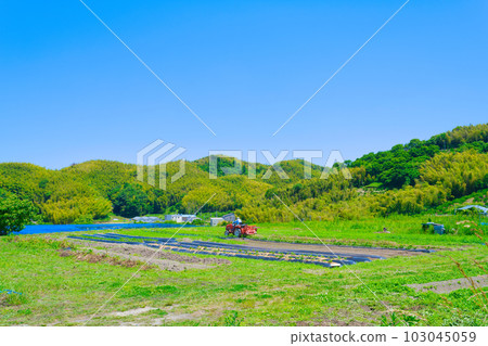 [Osaka Prefecture] June, aging agriculture, elderly people doing farm work with tractors 103045059