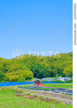 【大阪府】六月,老齡化農業,老人開著拖拉機幹農活 【大阪府】六月,老齡化農業,老人開著拖拉機幹農活 103045068