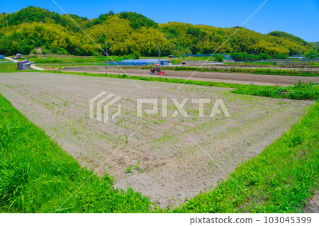 [Osaka Prefecture] June, aging agriculture, elderly people doing farm work with tractors 103045399