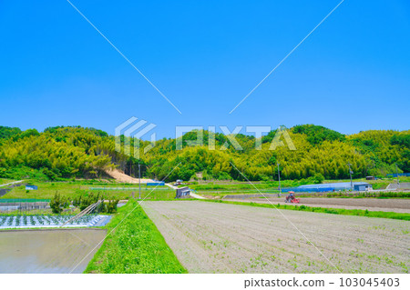 [Osaka Prefecture] June, aging agriculture, elderly people doing farm work with tractors 103045403