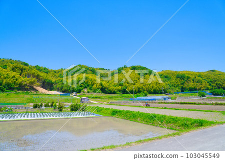 [Osaka Prefecture] June, aging agriculture, elderly people doing farm work with tractors 103045549
