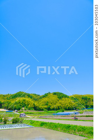 【大阪府】六月,老齡化農業,老人開著拖拉機幹農活 【大阪府】六月,老齡化農業,老人開著拖拉機幹農活 103045583