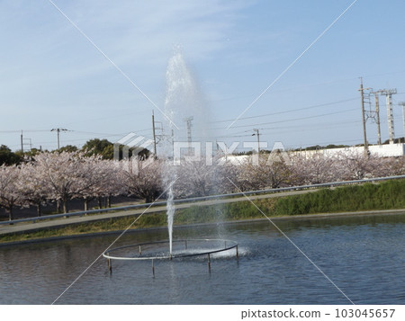 習誌野市櫻花廣場池塘噴泉 習誌野市櫻花廣場池塘噴泉 103045657