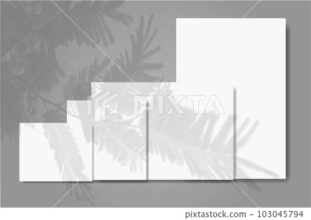 Several horizontal and vertical sheets of white paper against a grey wall background. Mock up with an overlay of plant shadows. Natural light casts shadows from a tui branch Several horizontal and vertical sheets of white paper against a grey wall background. Mock up with an overlay of plant shadows. Natural light casts shadows from a tui branch 103045794