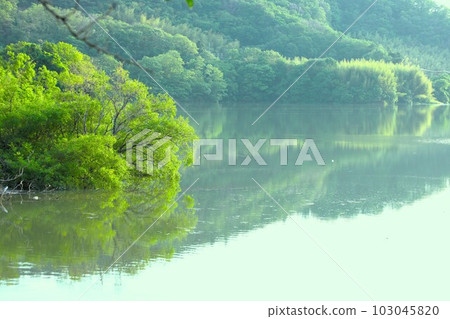 風景照片 103045820