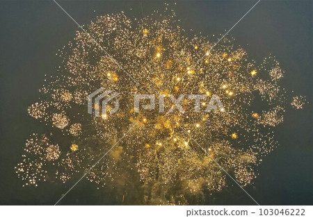Fluffy fireworks 103046222