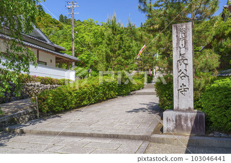 長谷寺參道,新綠季節(奈良縣櫻井市初瀨) 長谷寺參道,新綠季節(奈良縣櫻井市初瀨) 103046441