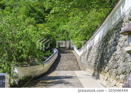 長谷寺參道,新綠季節(奈良縣櫻井市初瀨) 長谷寺參道,新綠季節(奈良縣櫻井市初瀨) 103046449