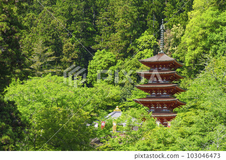 View of the five-storied pagoda from the stage of Hasedera Main Hall (Hatsuse, Sakurai City, Nara Prefecture) View of the five-storied pagoda from the stage of Hasedera Main Hall (Hatsuse, Sakurai City, Nara Prefecture) 103046473