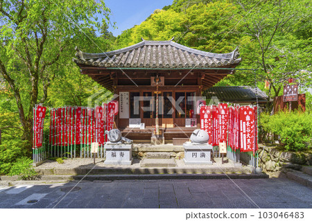長谷寺大黑堂 新綠季節(奈良縣櫻井市初瀨) 長谷寺大黑堂 新綠季節(奈良縣櫻井市初瀨) 103046483