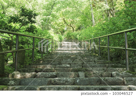 Hasedera Arashi no Saka Season of fresh greenery (Hatsuse, Sakurai City, Nara Prefecture) 103046527