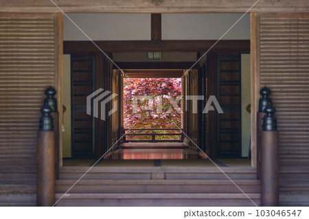 Hasedera Honbo Floor Momiji Reflection (Hatsuse, Sakurai City, Nara Prefecture) Hasedera Honbo Floor Momiji Reflection (Hatsuse, Sakurai City, Nara Prefecture) 103046547