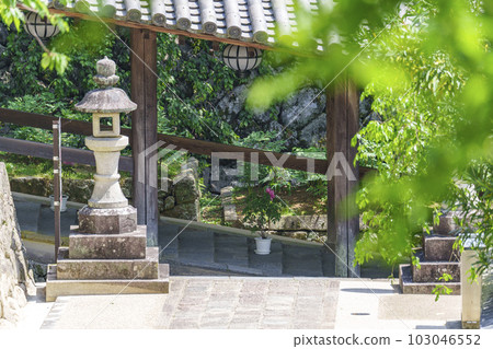 Hasedera Noboro, Peony flowers, Fresh green season (Hatsuse, Sakurai City, Nara Prefecture) Hasedera Noboro, Peony flowers, Fresh green season (Hatsuse, Sakurai City, Nara Prefecture) 103046552