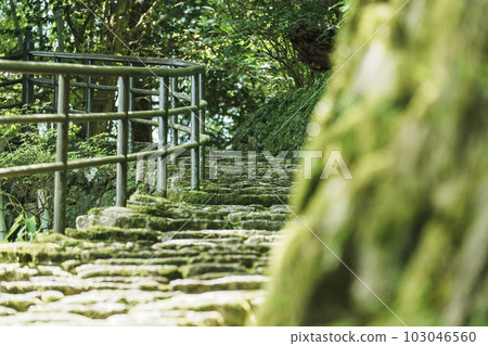 Hase-dera Okunoin, the path to Darani-do, the stairs, the season of fresh greenery (Hatsuse, Sakurai City, Nara Prefecture) Hase-dera Okunoin, the path to Darani-do, the stairs, the season of fresh greenery (Hatsuse, Sakurai City, Nara Prefecture) 103046560