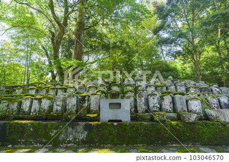 長谷寺 奧之院旁邊的墳墓(奈良縣櫻井市初瀨) 長谷寺 奧之院旁邊的墳墓(奈良縣櫻井市初瀨) 103046570