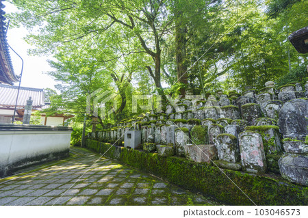 長谷寺 奧之院旁邊的墳墓（奈良縣櫻井市初瀨） 103046573