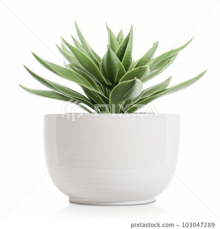 A fresh and modern touch to your home decor with a green plant in a white planter. Bringing nature indoors with style and elegance. AI Generative. A fresh and modern touch to your home decor with a green plant in a white planter. Bringing nature indoors with style and elegance. AI Generative. 103047289