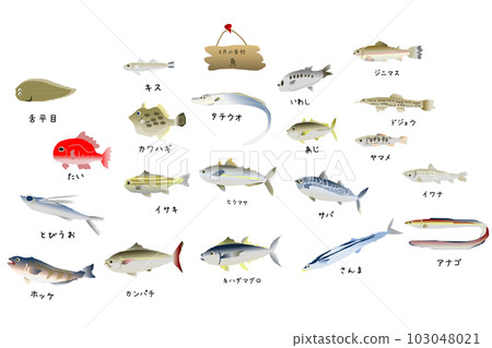 時令魚（八月）可愛插畫集 103048021